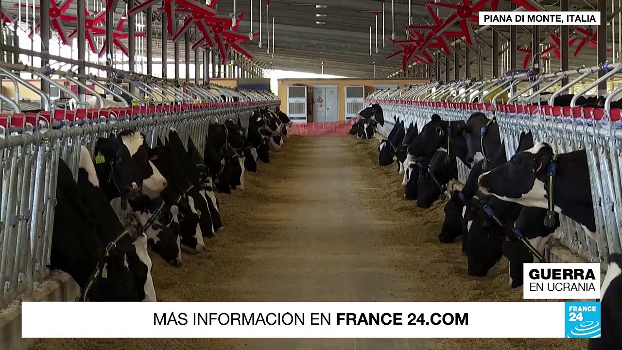 Europa sufre escasez de alimentos y alza de precios por conflicto en Ucrania