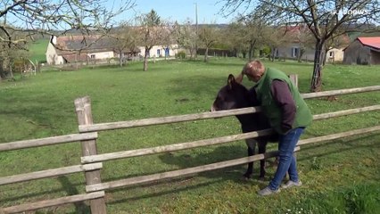 Скачать видео: Aumento dei prezzi di energia e cereali: i timori degli agricoltori francesi