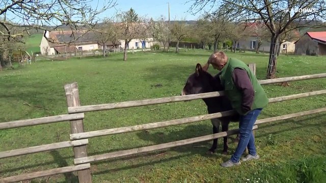 Aumento dei prezzi di energia e cereali: i timori degli agricoltori francesi