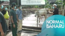 NORMAL BAHARU: Saran tujuh orang ketika melakukan ibadah korban