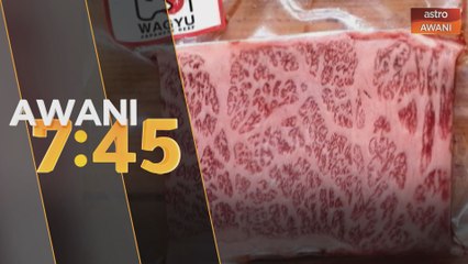 Korban wagyu cecah RM29,999 satu bahagian