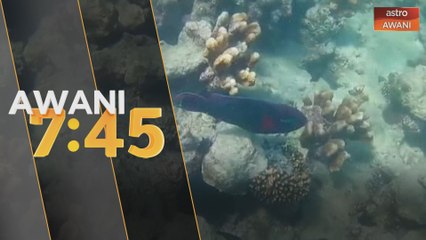 Cuaca ekstrem turut beri kesan kepada hidupan laut