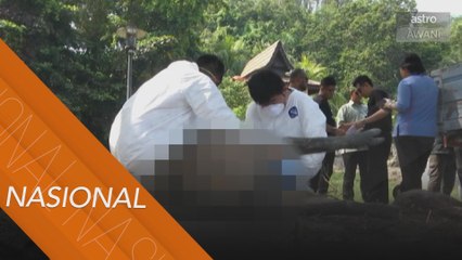 Jabatan Perkhidmatan Veterinar kesan SIV H1N1