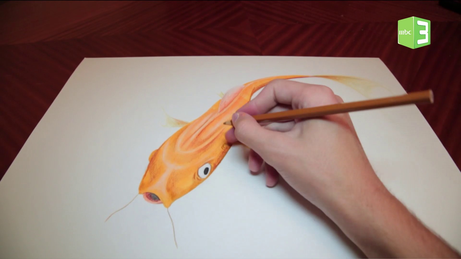 هكذا يمكنك رسم سمكة ثلاثية الأبعاد - فيديو Dailymotion