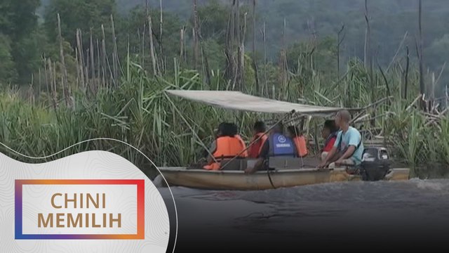 Chini Memilih: Usaha pemulihan Tasik Chini