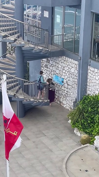 Monkeys Attack Tourists at Gibraltar