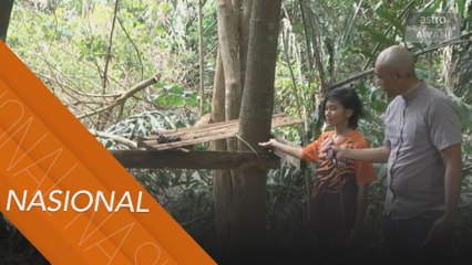 Panjat pokok demi internet, bagaimana nasib pelajar lain?