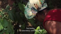 Soy Raiz/Eu sou raiz - trailer - Español subtitulos