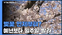 올봄도 3월 하순부터 벚꽃...예년보다 일주일 빨라 / YTN