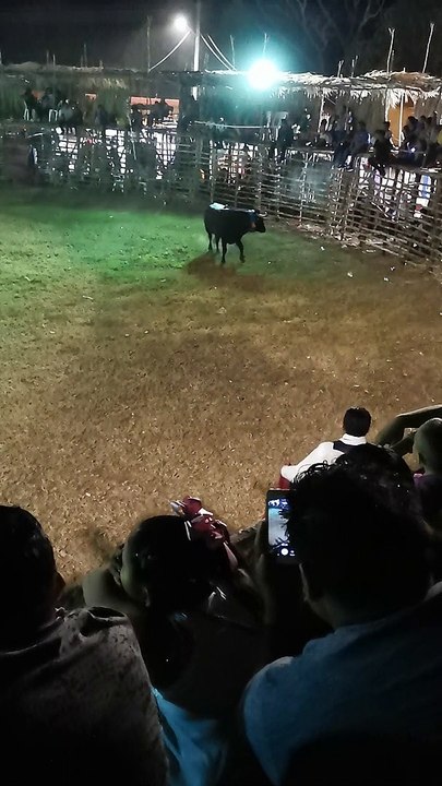 Fiestas bravas en mexico