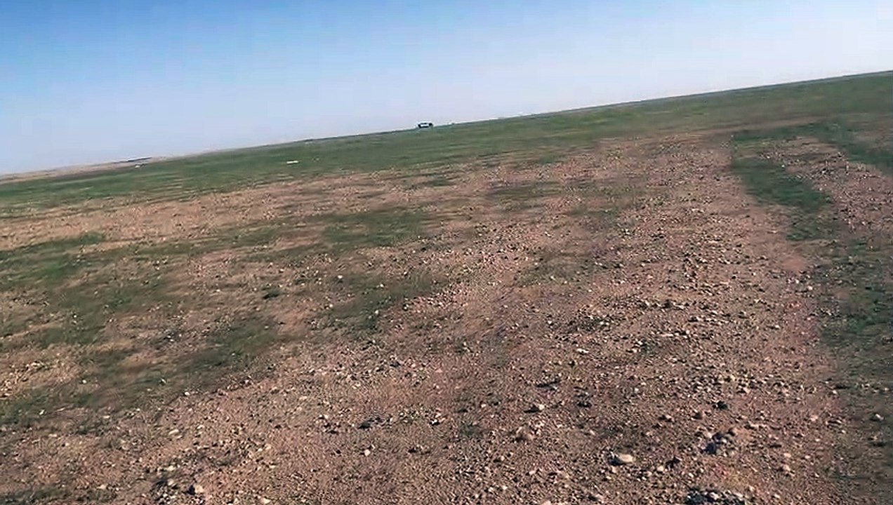 كشتة البحث عن الفقع