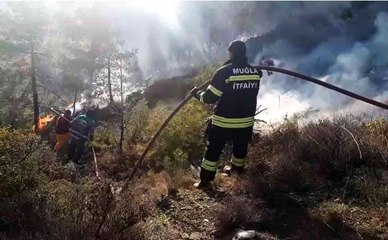 Seydikemer'de orman yangını