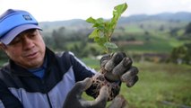 Agroquímicos más caros por la guerra en Ucrania