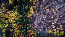 4K Cinematic Drone Footage - Edmonton, Alberta _ Summer & Fall 2021 _ DJI Mavic Mini 2