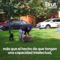 Encontrando un hogar para los perros callejeros de México