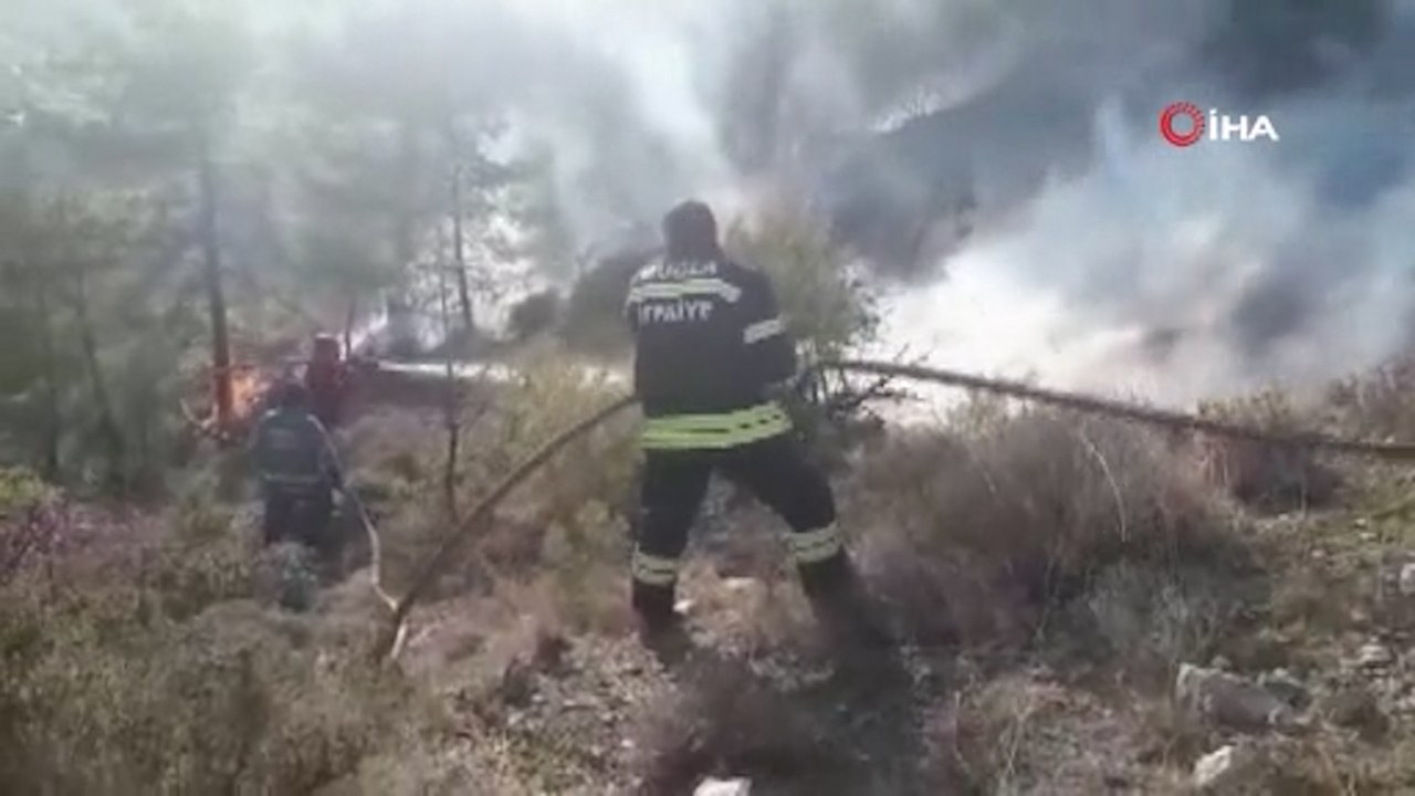 Muğla'da orman yangını