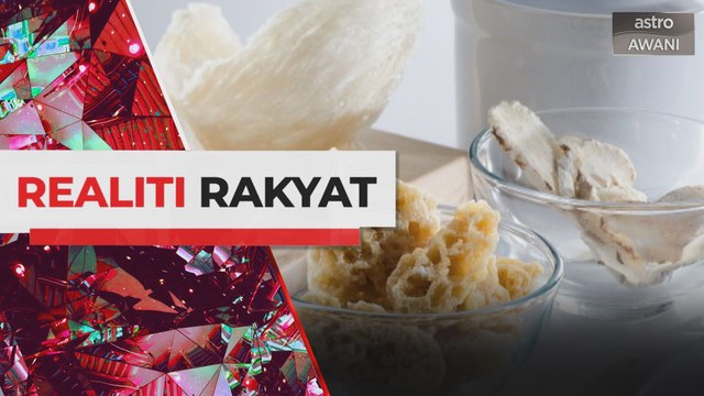 Eksotik dan berkhasiat punca sarang burung walet bernilai tinggi