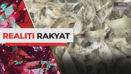 Ini kriteria lokasi sesuai bina sarang burung walet