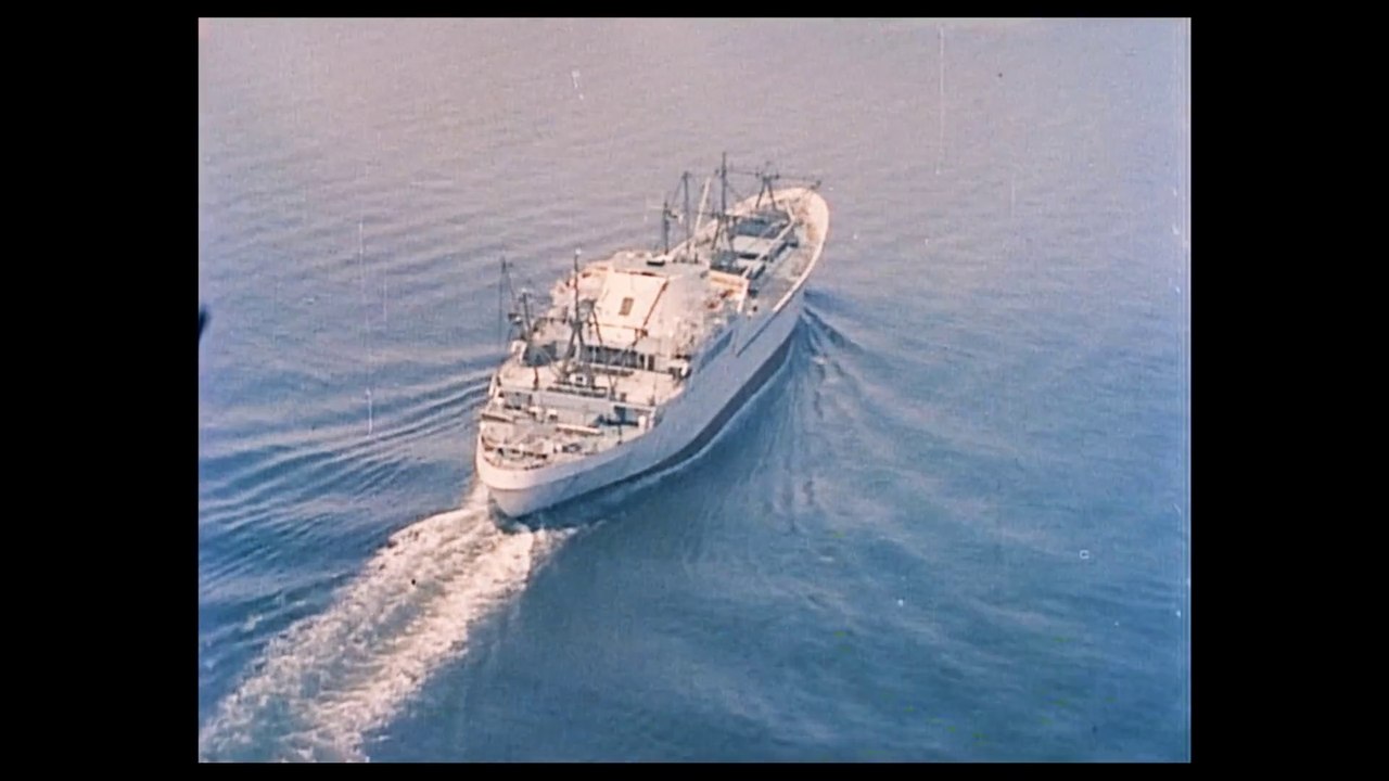 What Happened To The Nuclear Passenger Ship