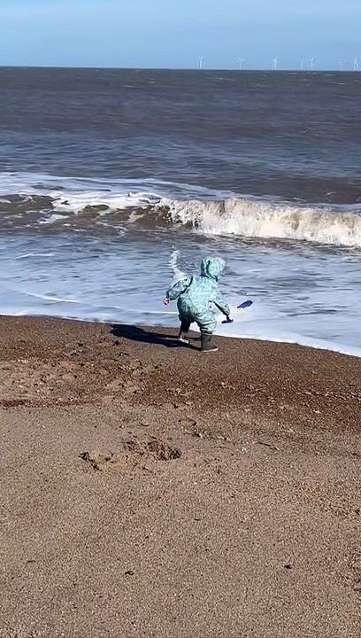 Little Boy Gets Caught up in Waves on Beach