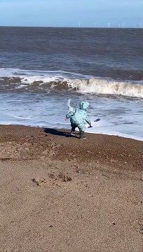 Little Boy Gets Caught up in Waves on Beach