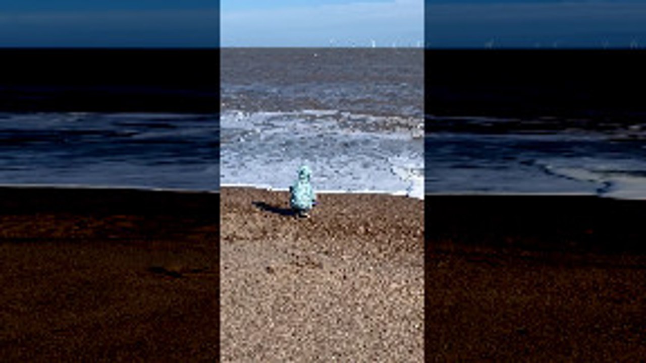 Little Boy Gets Caught up in Waves on Beach