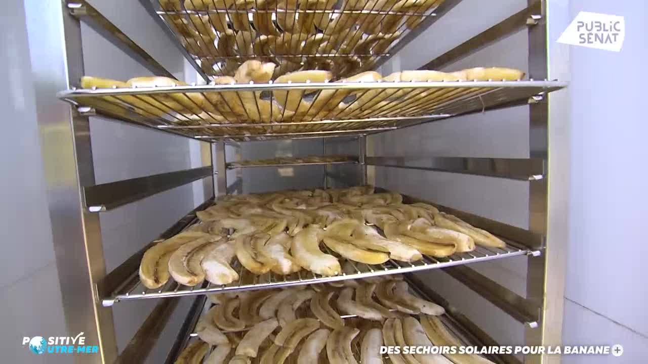 Des séchoirs solaires pour la banane - Positive Outre-mer (07/03/2022)