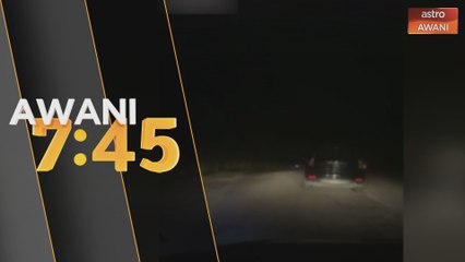 Gajah pijak kereta di JRTB Timur Barat, lima terselamat