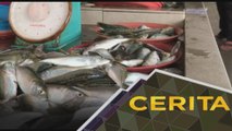 Cerita Sebalik Berita: Keluhan nelayan di Kuala Sanglang, Kedah
