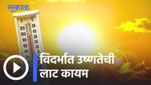 Heat Wave l विदर्भात उष्णतेची लाट कायम l Sakal
