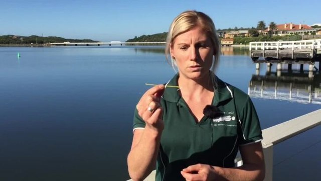 Warrnambool Standard: Mulloway Tagging Project