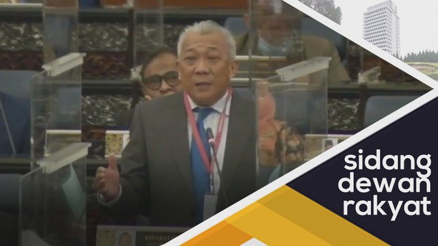 Saya hairan, kalau saya berhujah banyak betul semut bising - Ahli Parlimen Kinabatangan