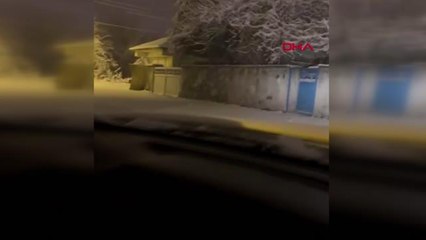 KARAKOÇAN'DA KURT, İLÇE MERKEZİNE İNDİ