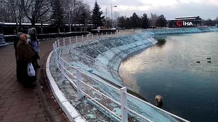 Yürekleri ısıtan görüntü... Göle düşen köpeği montuyla sararak ısıttı