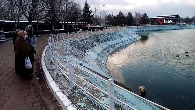 Yürekleri ısıtan görüntü... Göle düşen köpeği montuyla sararak ısıttı