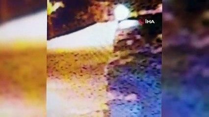 Dede ve babasından kalmaydı! Yüz binlerce liralık koleksiyon çalındı