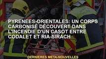 Pyrénées-Orientales : corps calciné retrouvé dans un incendie entre Codalet et Ria-Sirach