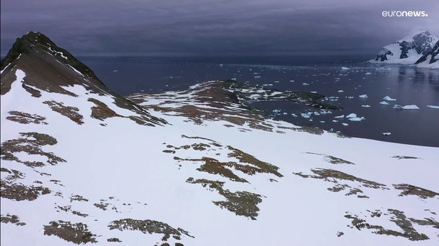 Hitzewelle in der Antarktis: Temperatur mehr als 30ºC über dem Durchschnitt