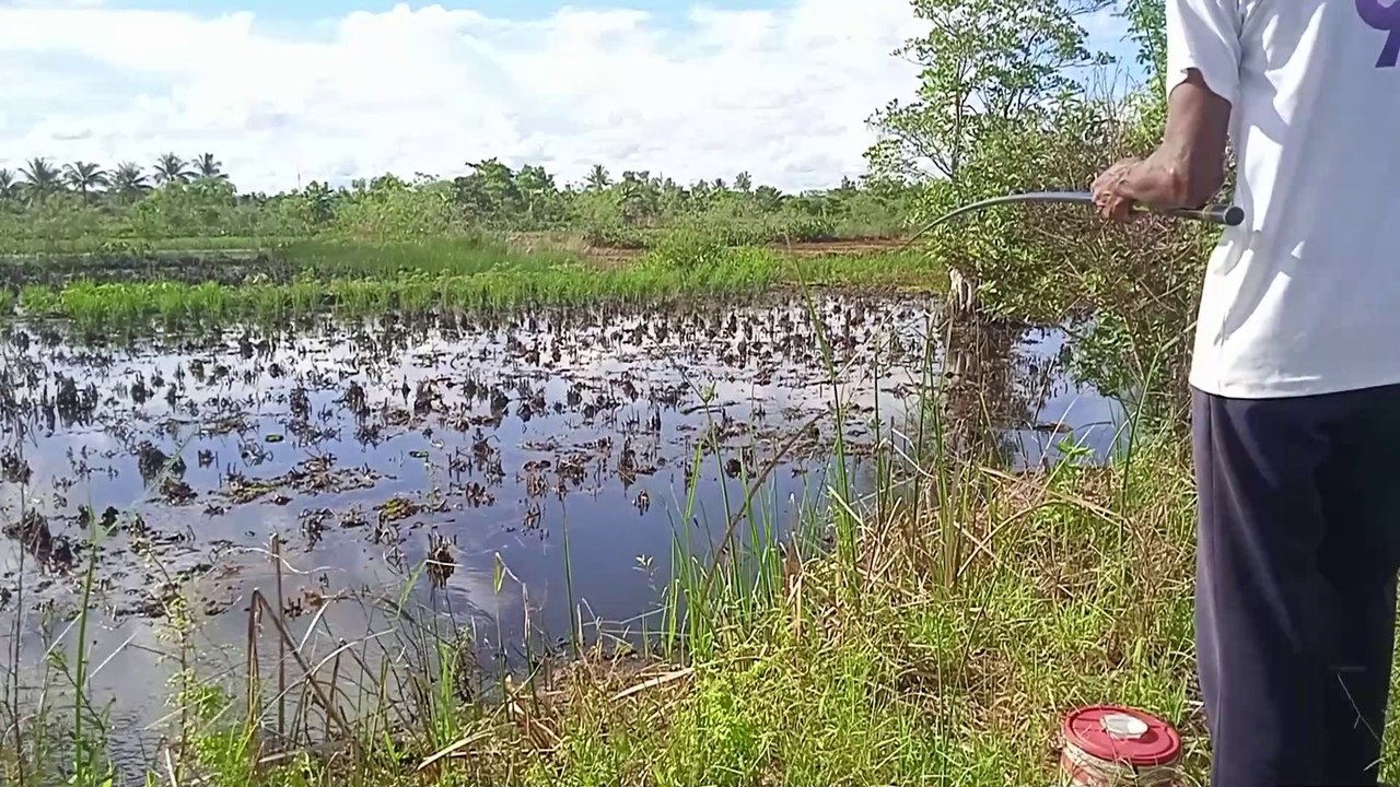Legend Angler Successfully Many Baboon Strikes