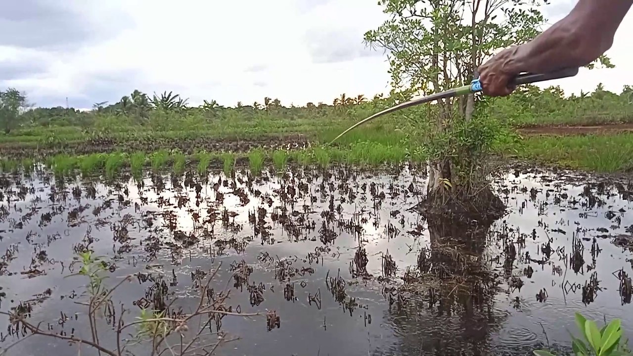 fishing in the best spot and the results are a lot of fish
