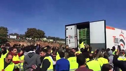 Ganaderos y transportistas vacían un camión prodecente de Marruecos