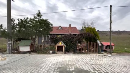 Emekli hostes ömrünü yaptırdığı barınaktaki hayvanlara adadı