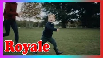 William et Louis profitent d'une promenade dans le parc avec leur chien av@nt la visite royale