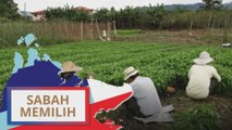 PRN Sabah: Masalah pengangguran dan pekerjaan luar bandar