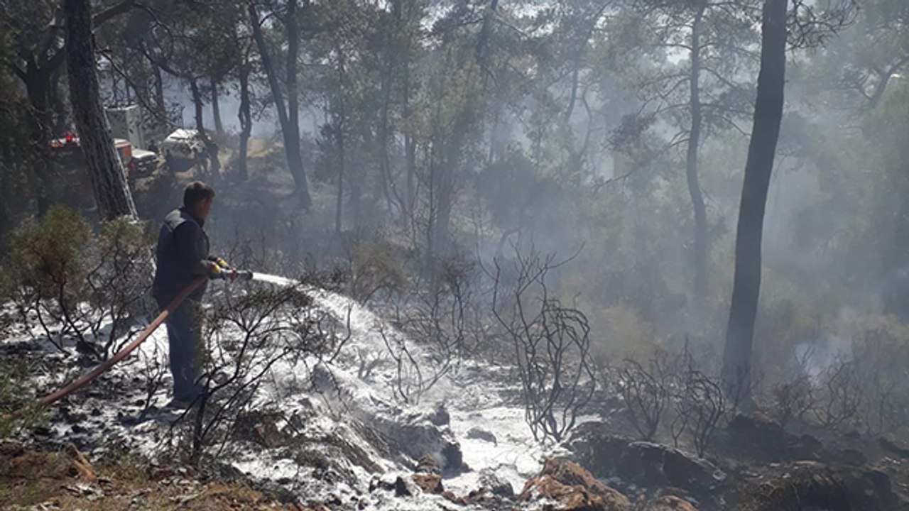 Muğla Göcek’te orman yangını