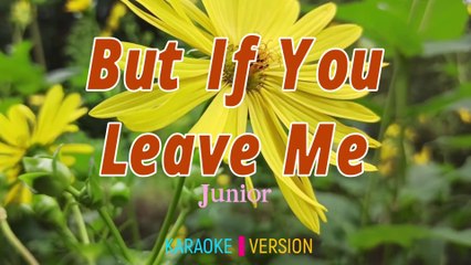 But If You Leave Me - Junior | Karaoke Version |HD