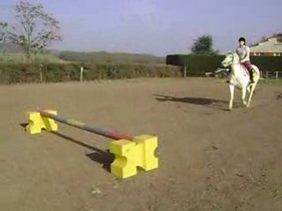 Saut d'obstacle