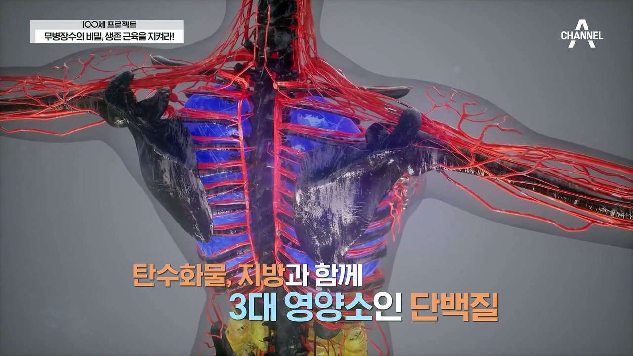 60세 이상 국민 2명 중 1명은 단백질 결핍상태! 나이가 들수록 떨어지는 단백질 합성 능력
