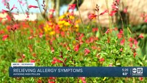 Relieving allergy symptoms