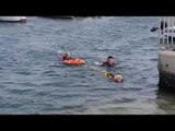 Une démonstration de chiens sauveteurs en mer aux Nauticales à La Ciotat